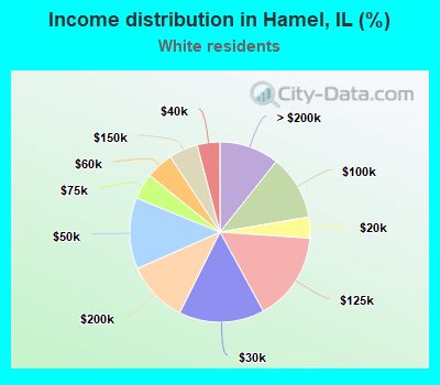 Income distribution in Hamel, IL (%)