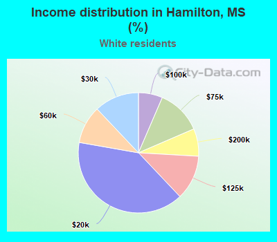 Income distribution in Hamilton, MS (%)