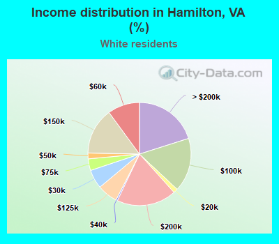 Income distribution in Hamilton, VA (%)