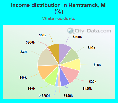Income distribution in Hamtramck, MI (%)