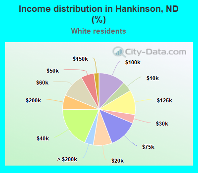 Income distribution in Hankinson, ND (%)