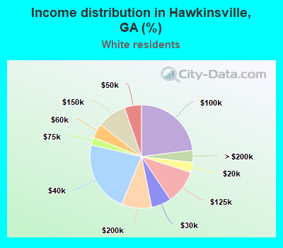 Income distribution in Hawkinsville, GA (%)