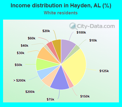 Income distribution in Hayden, AL (%)