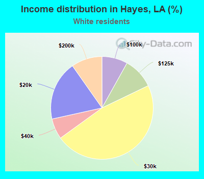 Income distribution in Hayes, LA (%)