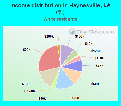 Income distribution in Haynesville, LA (%)