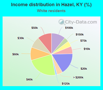 Income distribution in Hazel, KY (%)
