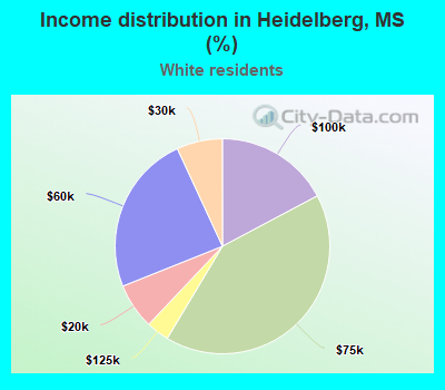 Income distribution in Heidelberg, MS (%)