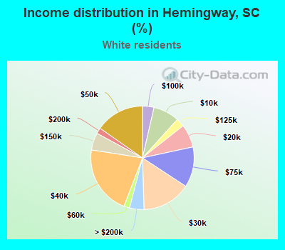 Income distribution in Hemingway, SC (%)