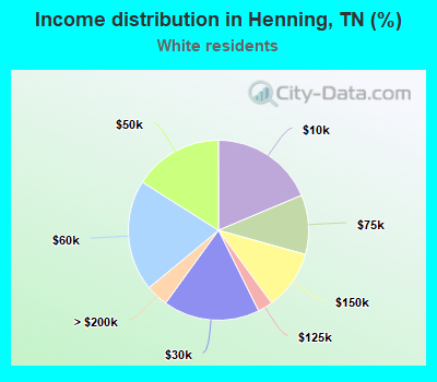 Income distribution in Henning, TN (%)