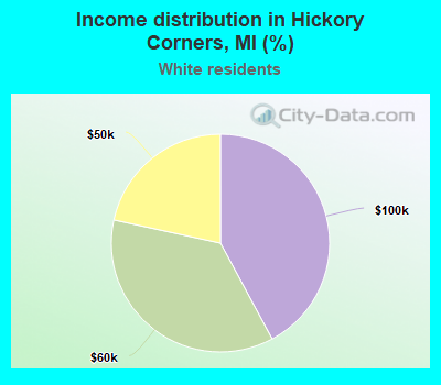 Income distribution in Hickory Corners, MI (%)