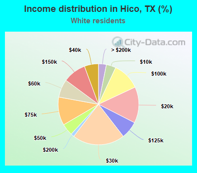 Income distribution in Hico, TX (%)