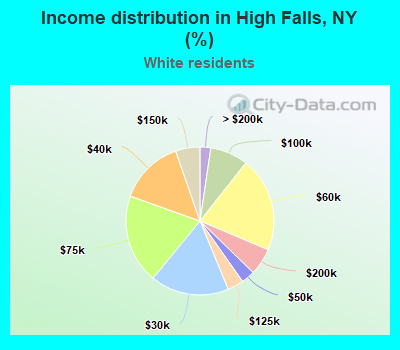 Income distribution in High Falls, NY (%)