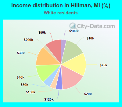 Income distribution in Hillman, MI (%)
