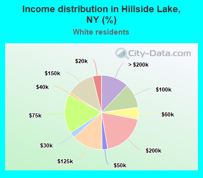 Income distribution in Hillside Lake, NY (%)