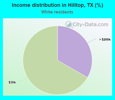 Income distribution in Hilltop, TX (%)