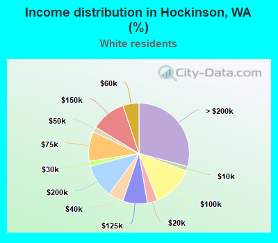 Income distribution in Hockinson, WA (%)