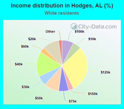Income distribution in Hodges, AL (%)