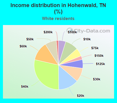 Income distribution in Hohenwald, TN (%)