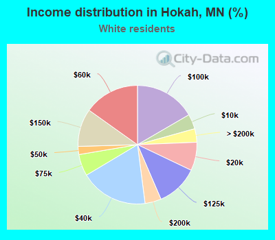 Income distribution in Hokah, MN (%)
