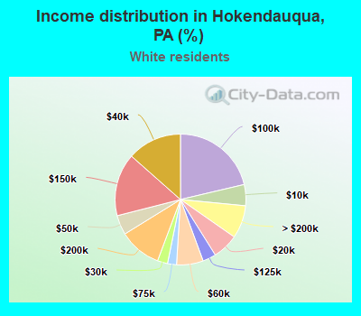 Income distribution in Hokendauqua, PA (%)