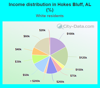 Income distribution in Hokes Bluff, AL (%)