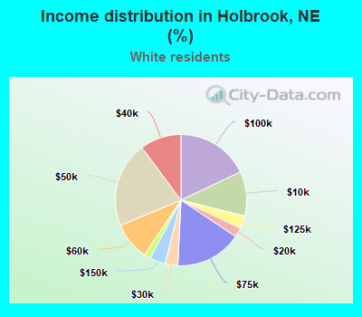 Income distribution in Holbrook, NE (%)