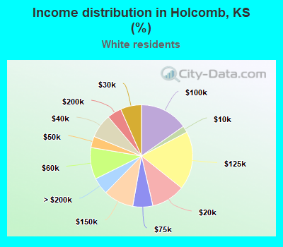 Income distribution in Holcomb, KS (%)