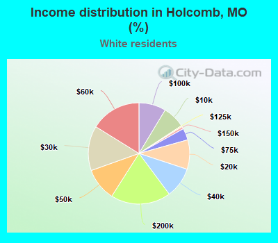 Income distribution in Holcomb, MO (%)