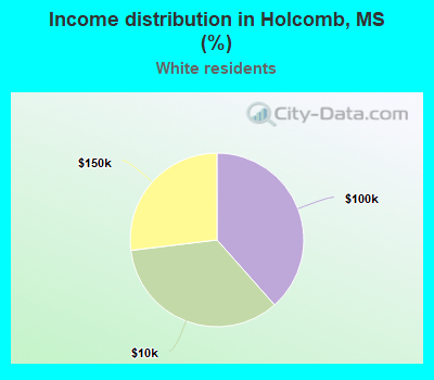 Income distribution in Holcomb, MS (%)