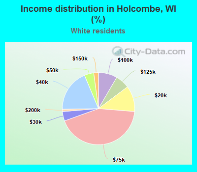 Income distribution in Holcombe, WI (%)