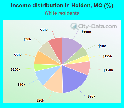 Income distribution in Holden, MO (%)