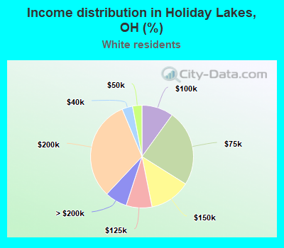 Income distribution in Holiday Lakes, OH (%)