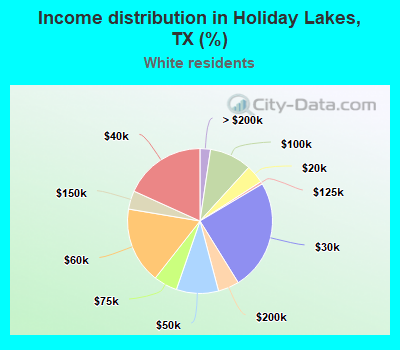 Income distribution in Holiday Lakes, TX (%)