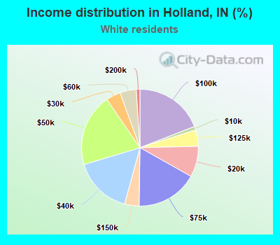 Income distribution in Holland, IN (%)