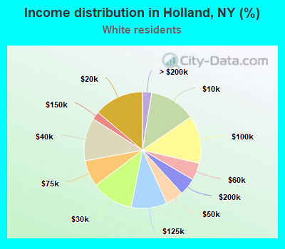 Income distribution in Holland, NY (%)