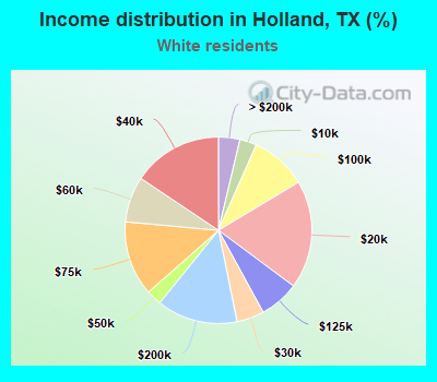 Income distribution in Holland, TX (%)
