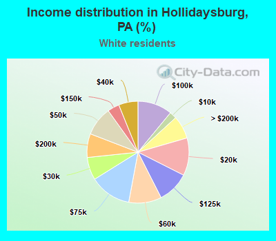 Income distribution in Hollidaysburg, PA (%)