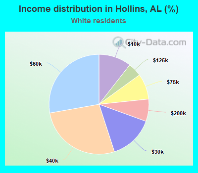 Income distribution in Hollins, AL (%)