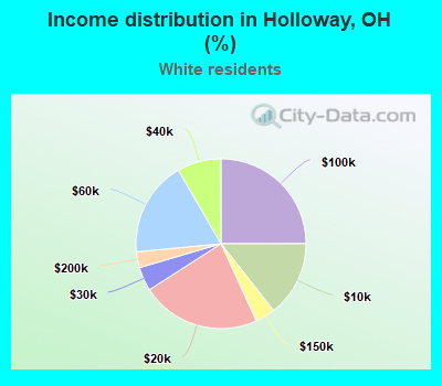 Income distribution in Holloway, OH (%)