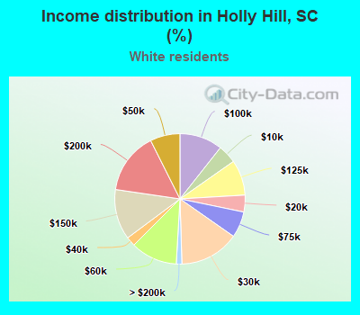 Income distribution in Holly Hill, SC (%)