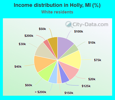 Income distribution in Holly, MI (%)