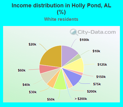 Income distribution in Holly Pond, AL (%)