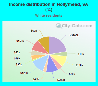 Income distribution in Hollymead, VA (%)