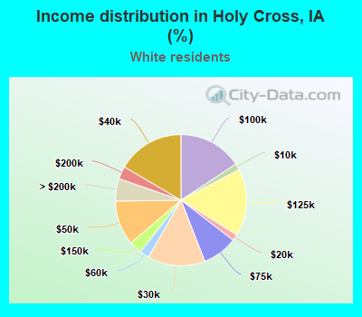 Income distribution in Holy Cross, IA (%)