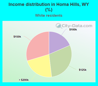 Income distribution in Homa Hills, WY (%)