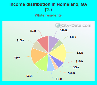 Income distribution in Homeland, GA (%)