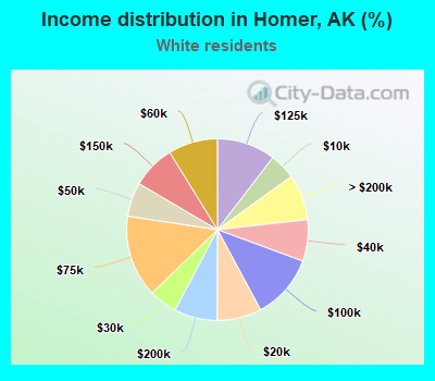 Income distribution in Homer, AK (%)