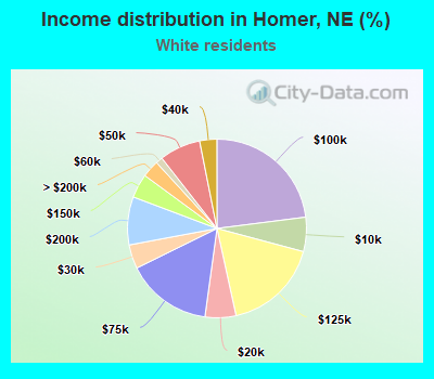 Income distribution in Homer, NE (%)