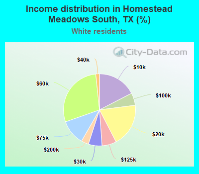 Income distribution in Homestead Meadows South, TX (%)