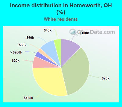 Income distribution in Homeworth, OH (%)